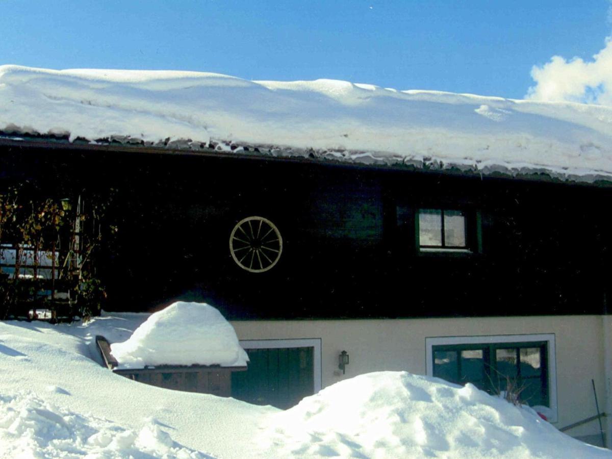 Chalet In Leogang Salzburg With Garden 外观 照片
